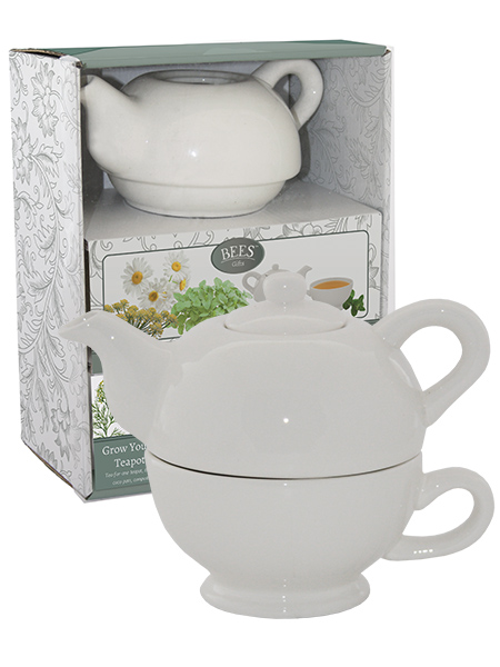 Grow Your Own Tea